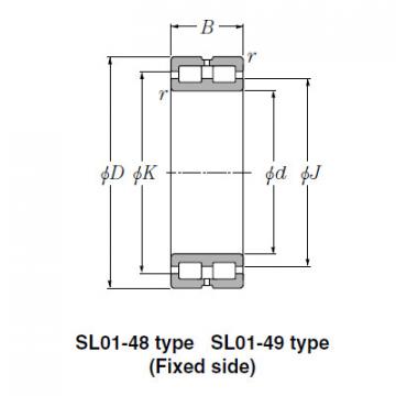 Bearing SL02-4940