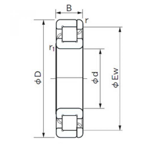 Подшипник NP 1034 NACHI #1 image